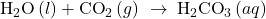 {\text{H}}_{2}\text{O}\left(l\right)+{\text{CO}}_{2}\left(g\right)\phantom{\rule{0.2em}{0ex}}\rightarrow\phantom{\rule{0.2em}{0ex}}{\text{H}}_{2}{\text{CO}}_{3}\left(aq\right)