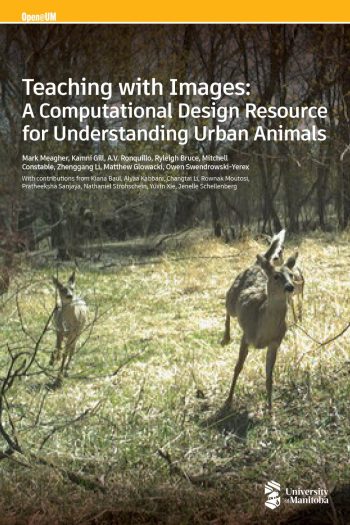 Cover image for Teaching with Images