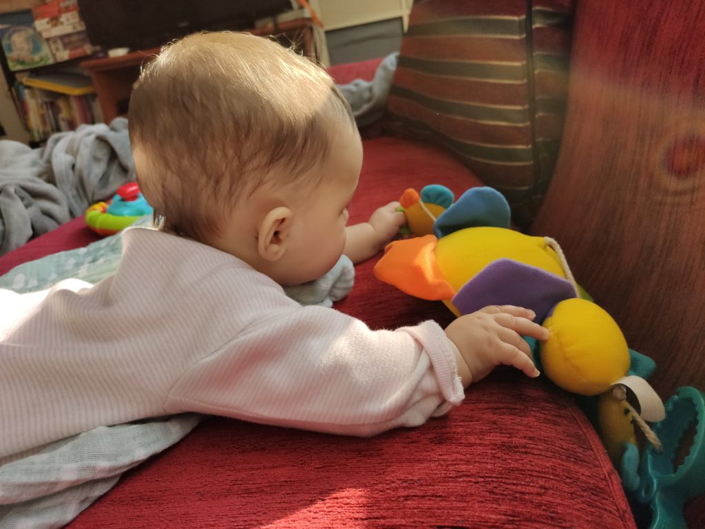 A baby playing with a plush toy