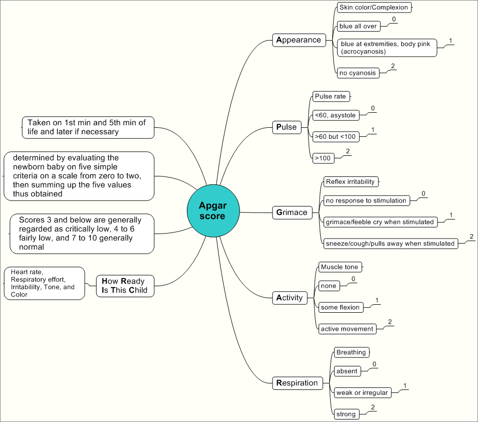 The APGAR scores