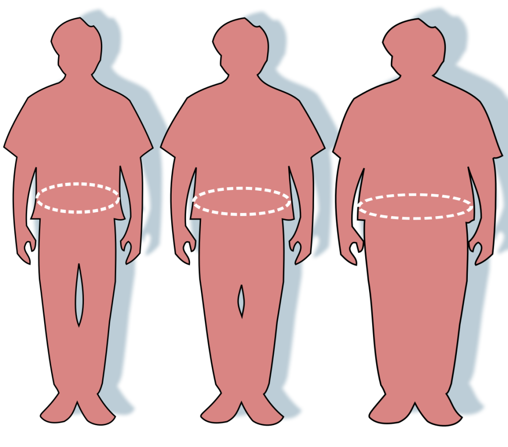A diagram showing variations in waist circumference