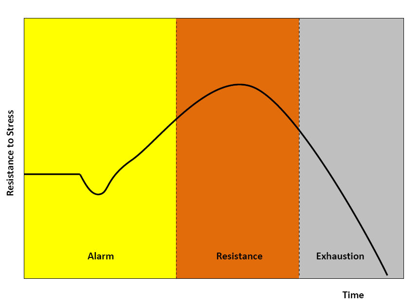 A graph showing resistance to stress across time