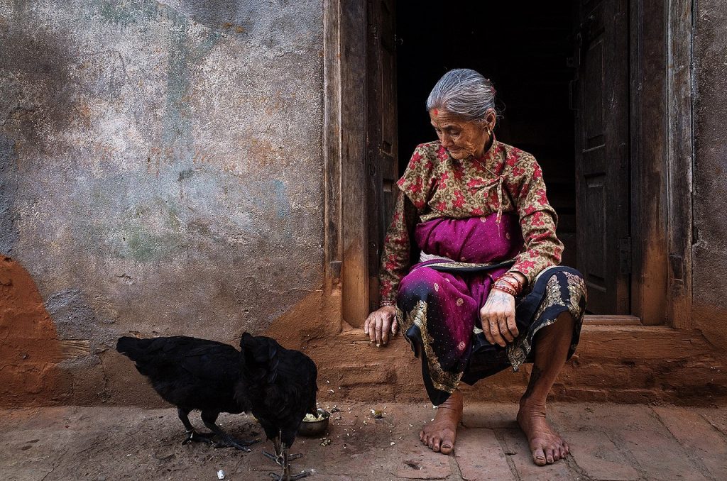 An old woman looking at some hens