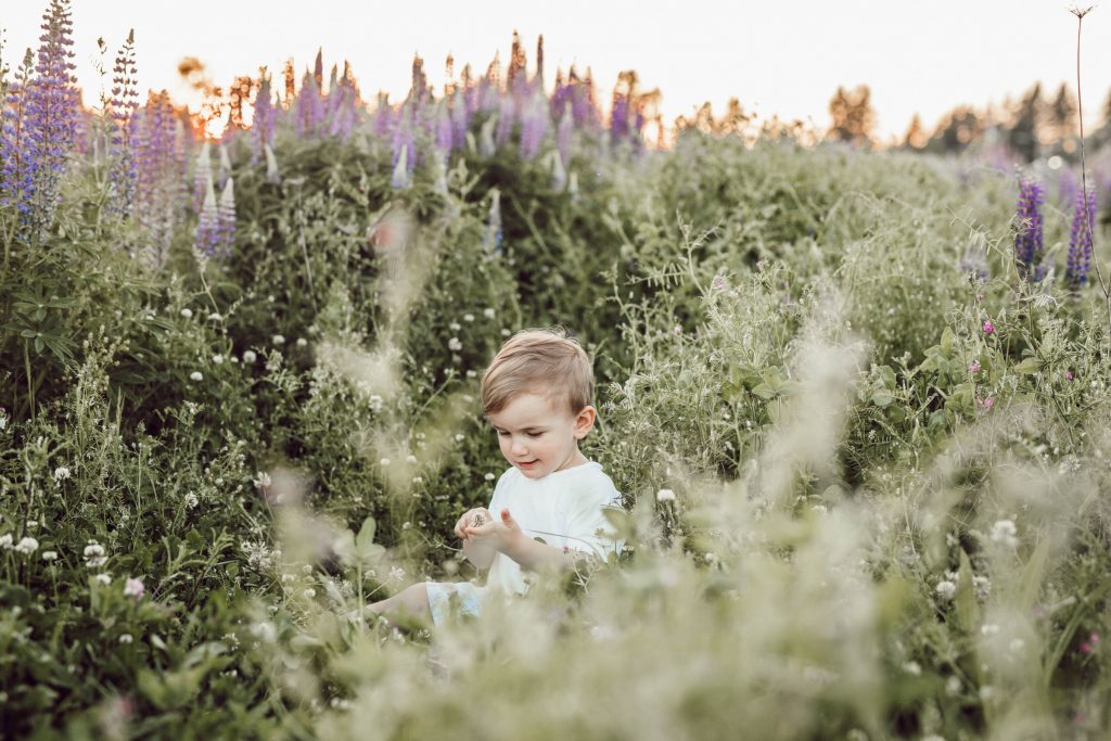 A child exploring plants in the wilderness