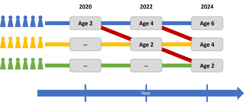A diagram showing a number of different age groups being examined at several points in time.
