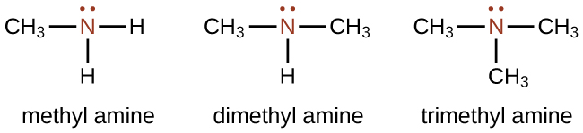 Three structures are shown, each with a red, central N atom which has a pair of electron dots indicated in red above the N atoms. The first structure is labeled methyl amine. To the left of the N, a C H subscript 3 group is bonded. H atoms are bonded to the right and bottom of the central N atom. The second structure is labeled dimethyl amine. This structure has C H subscript 3 groups bonded to the left and right of the N atom and a single H atom is bonded below. The third structure is labeled trimethyl amine, which has C H subscript 3 groups bonded to the left, right, and below the central N atom.