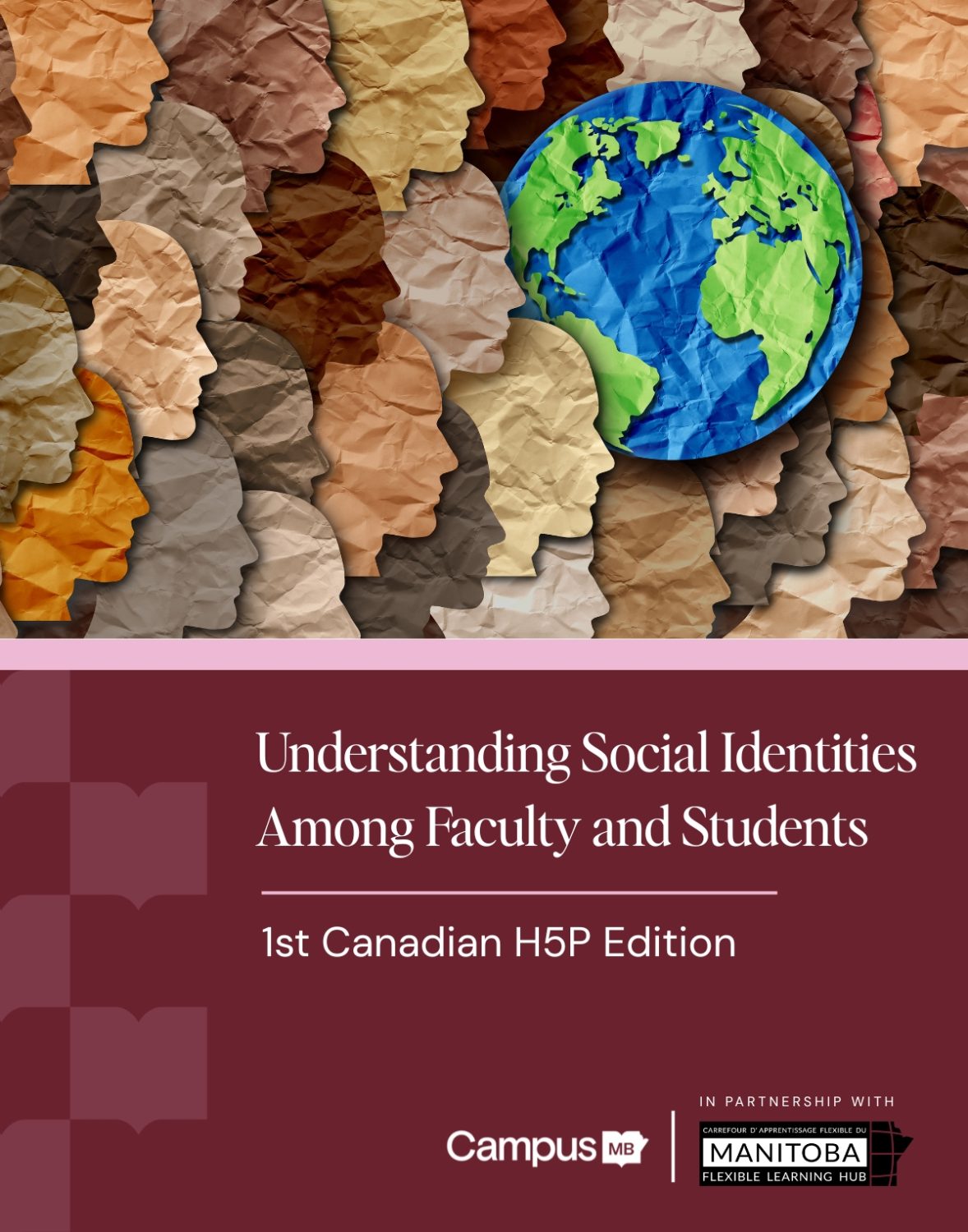 Cover image for Understanding Social Identities Among Faculty and Students