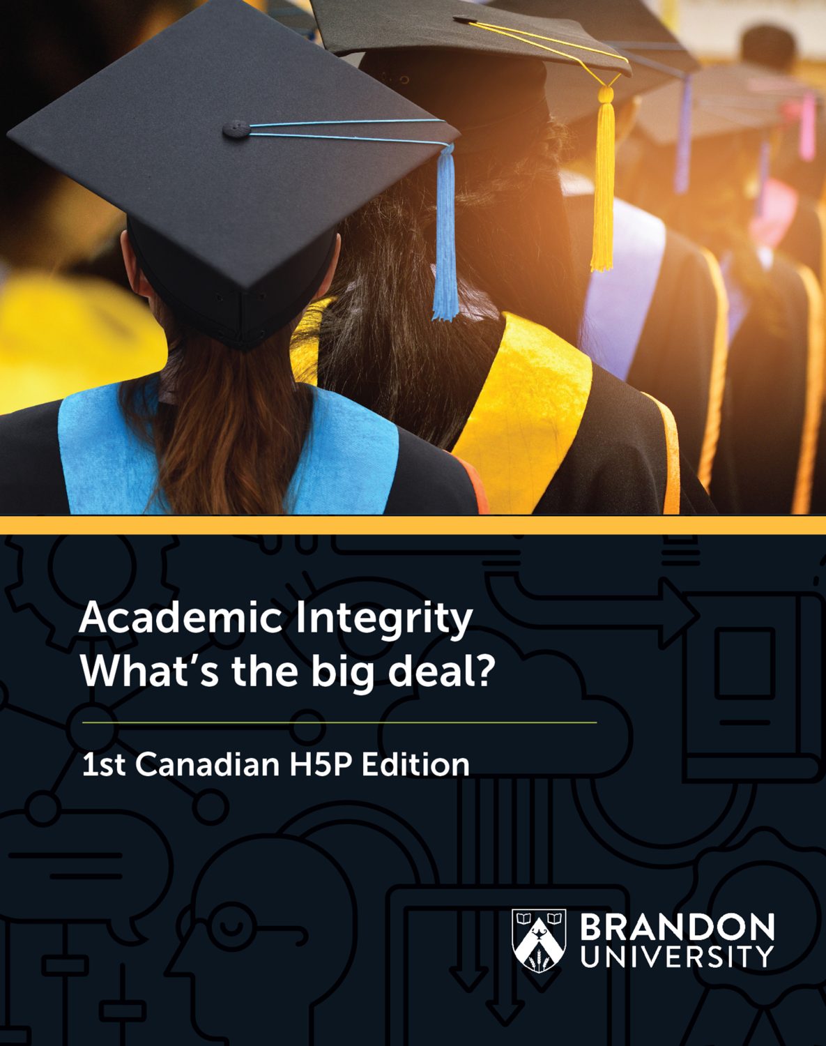 Cover image for Academic Integrity