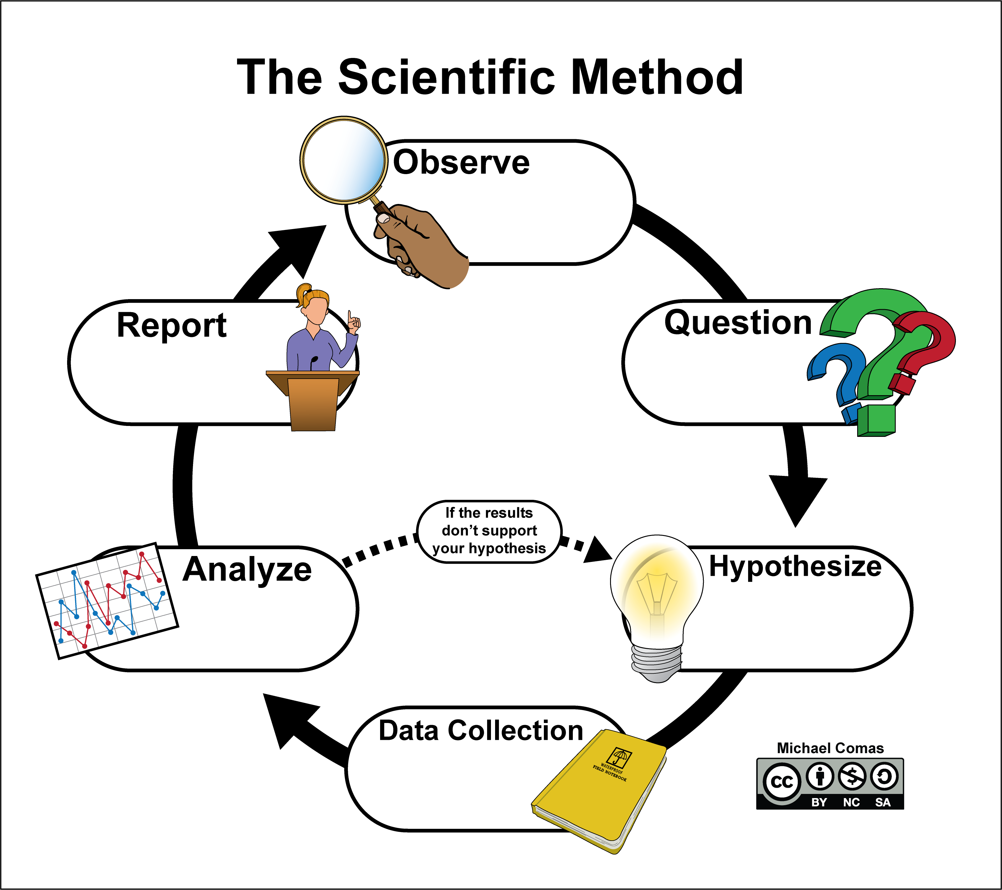 Circular flow chart showing the steps of the scientific method.