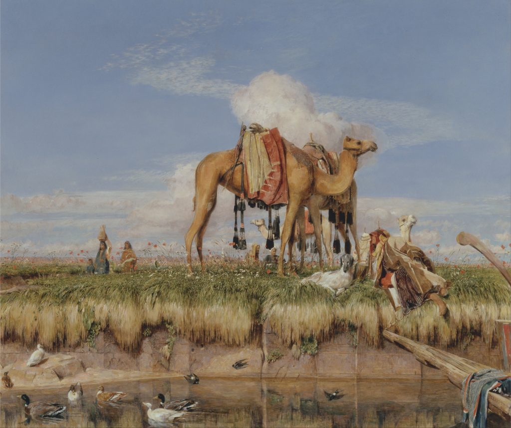 Camel standing in the center of the frame draped with a saddle and with red and beige cloth. There is a camel behind the one in front and a camel calf. The environment has both sand and grass on the horizon accompanied by a blue sky and clouds.