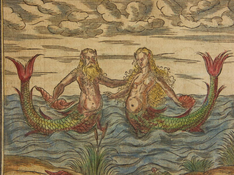 A merman and a mermaid each carrying a shell rest on top of the water near the shore and glance towards each other.