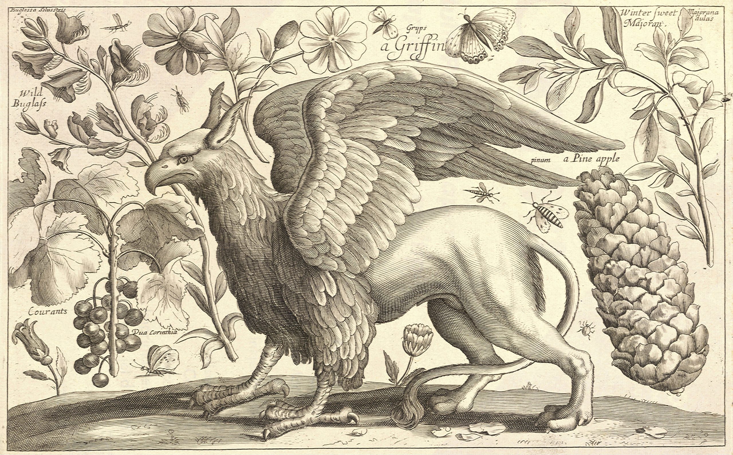 A large griffin with wings and talons stands on the ground and is surrounded by images of other plants and vegetation.