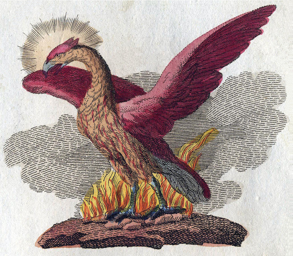 A large dragon with its wingspan outstretched stands on a rock with fire.