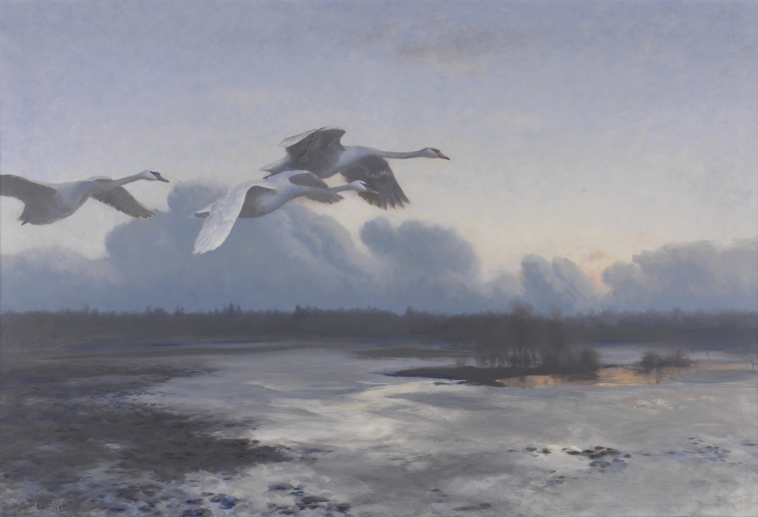 A landscape view of three swans flying together above a lake