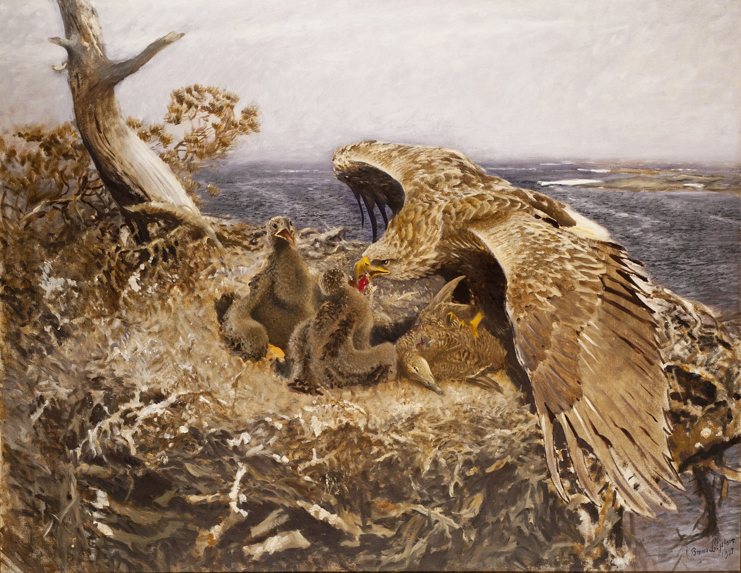 An eagle feeding hatchlings in a nest by the ocean