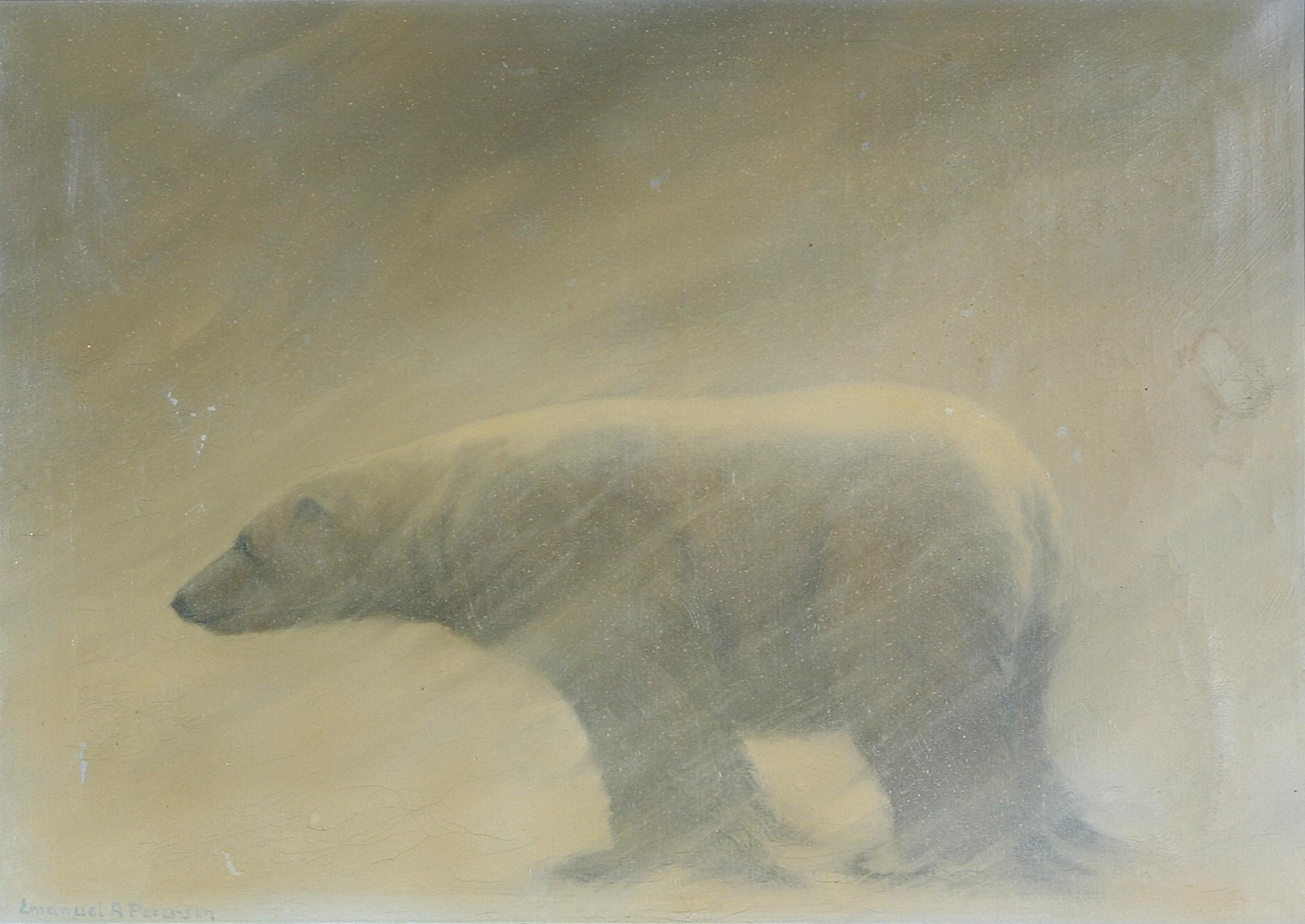 A sideview of a polar bear standing on all fours amidst a snowstorm
