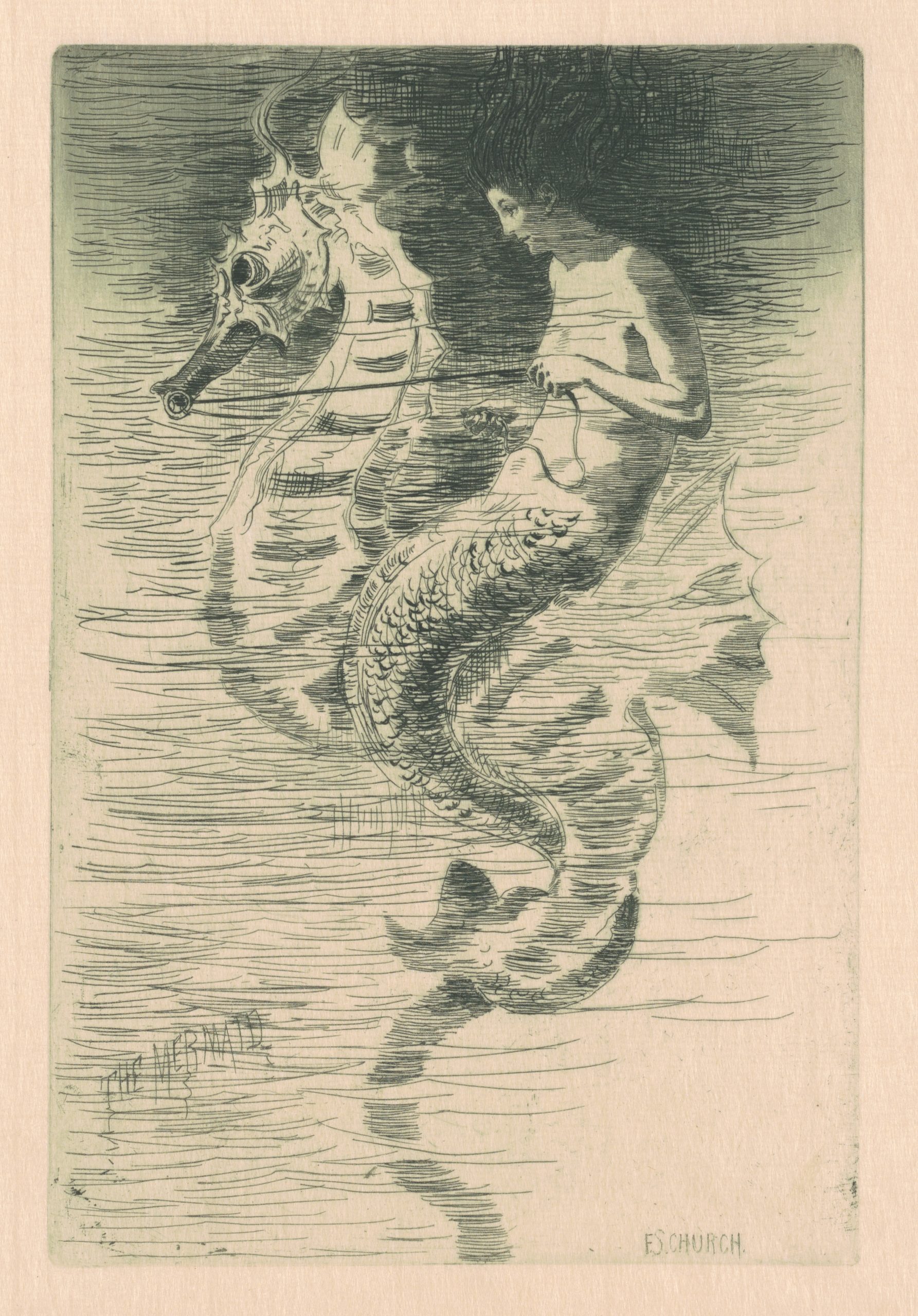 A mermaid riding a seahorse