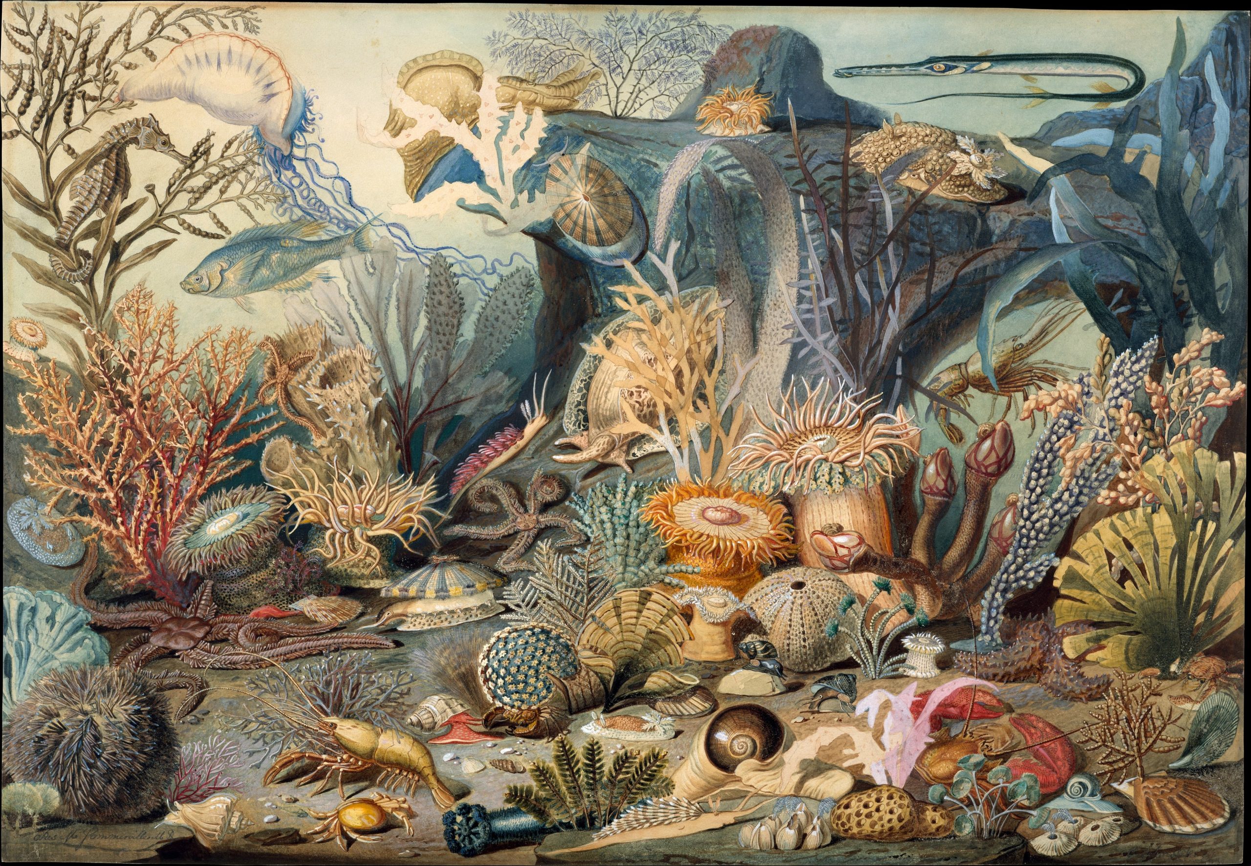A seabed garden filled with diverse aquatic organisms