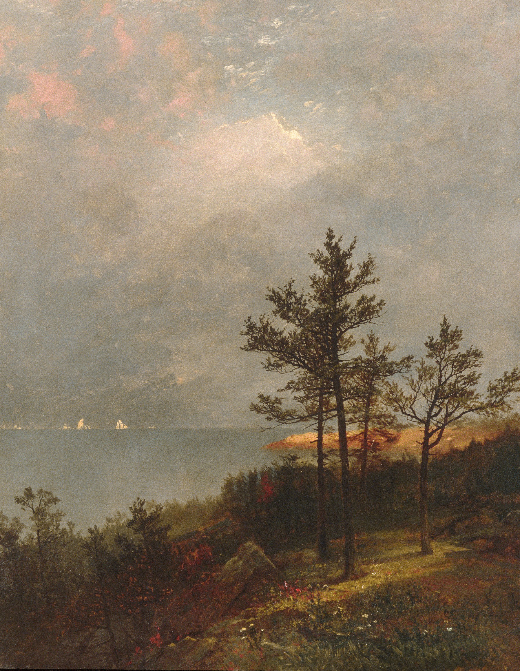A landscape view of trees in a grassy area overlooking an ocean with a storm brewing in the sky
