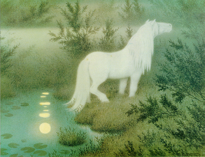 A white horse in a misty forest basking near a pond