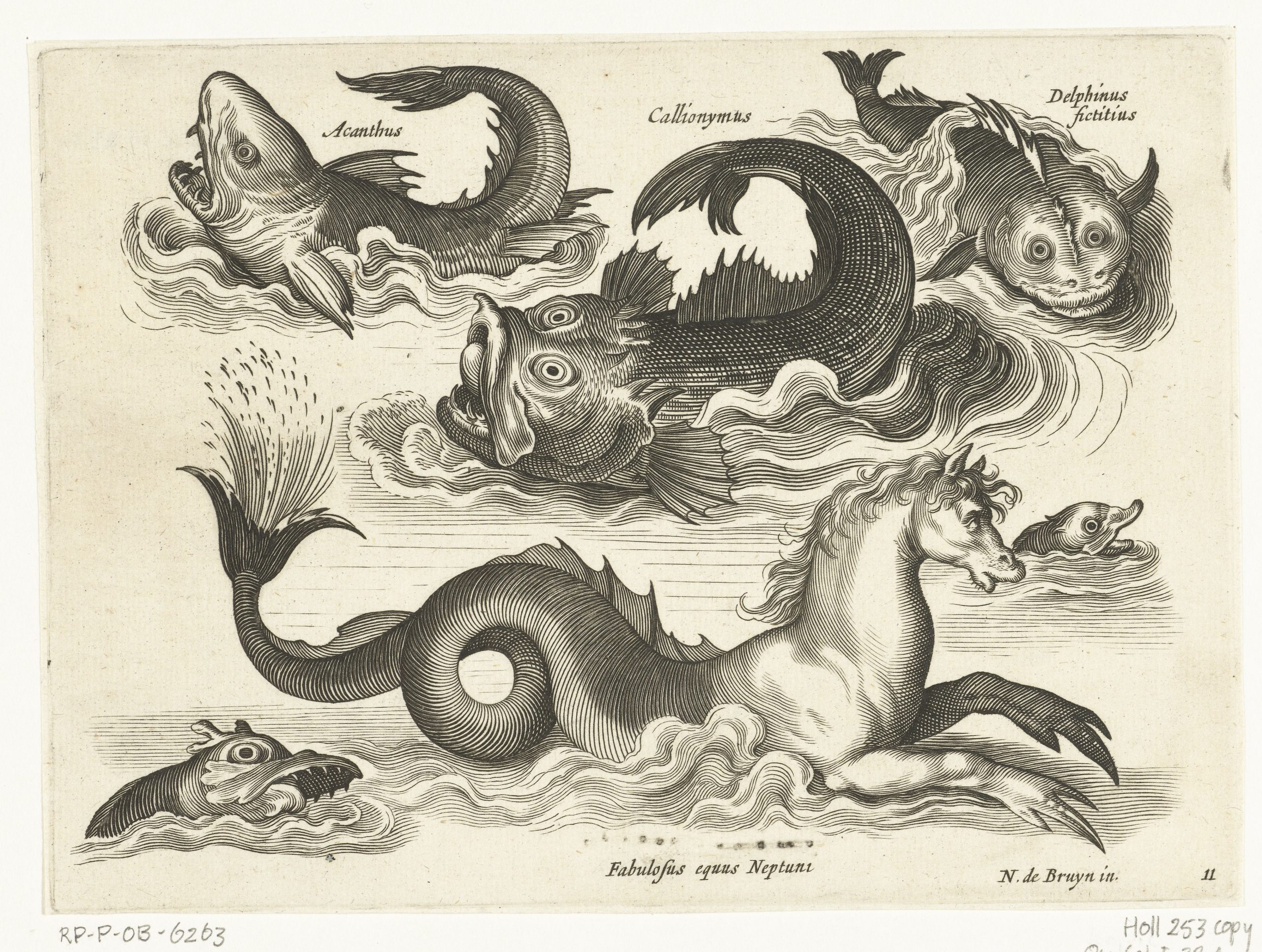 Several sketches of various water creatures.