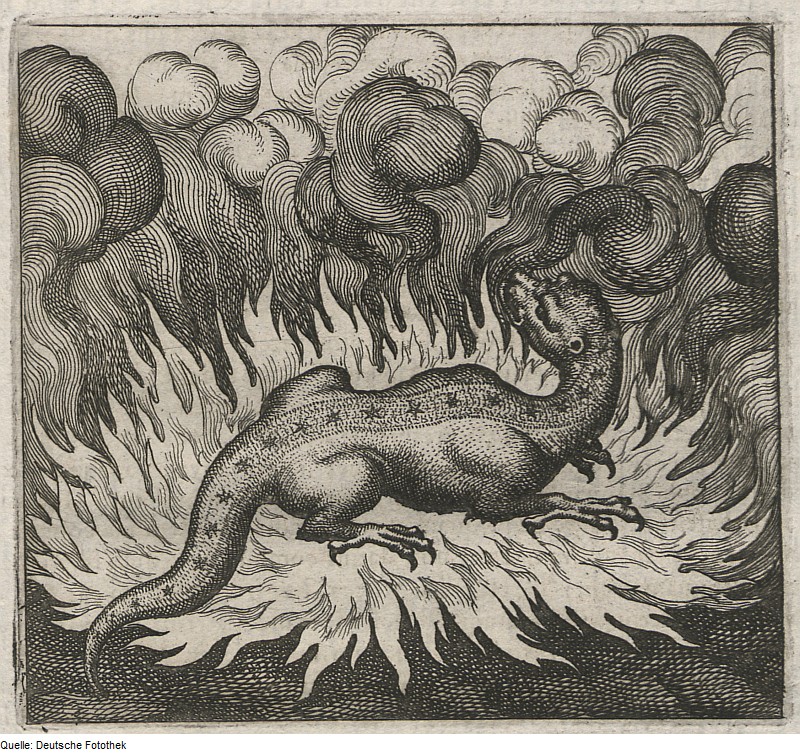 A dragon sits on a fiery ground surrounded by clouds of smoke.