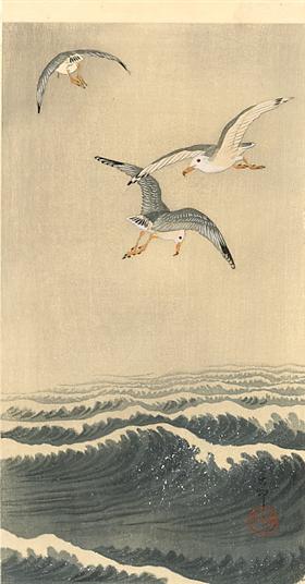 Three seagulls flying over the ocean