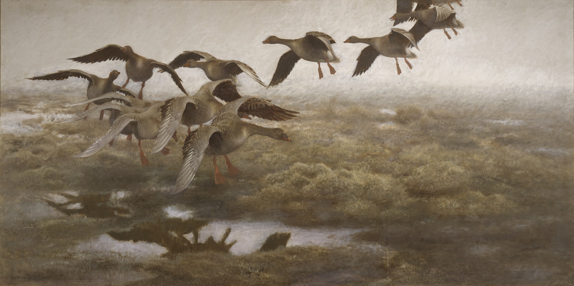 A flight of geese in formation fly towards the ground in a foggy sky.