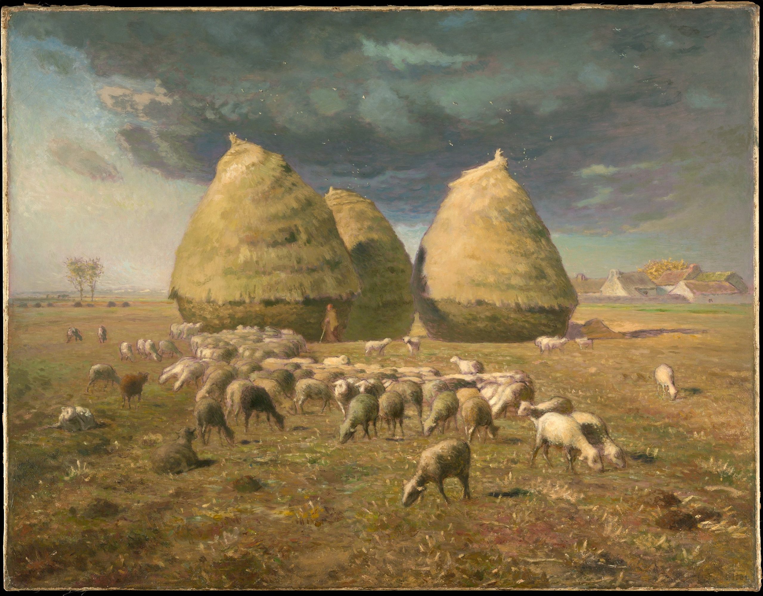 Three large piles of hay on a field with sheep grazing before them