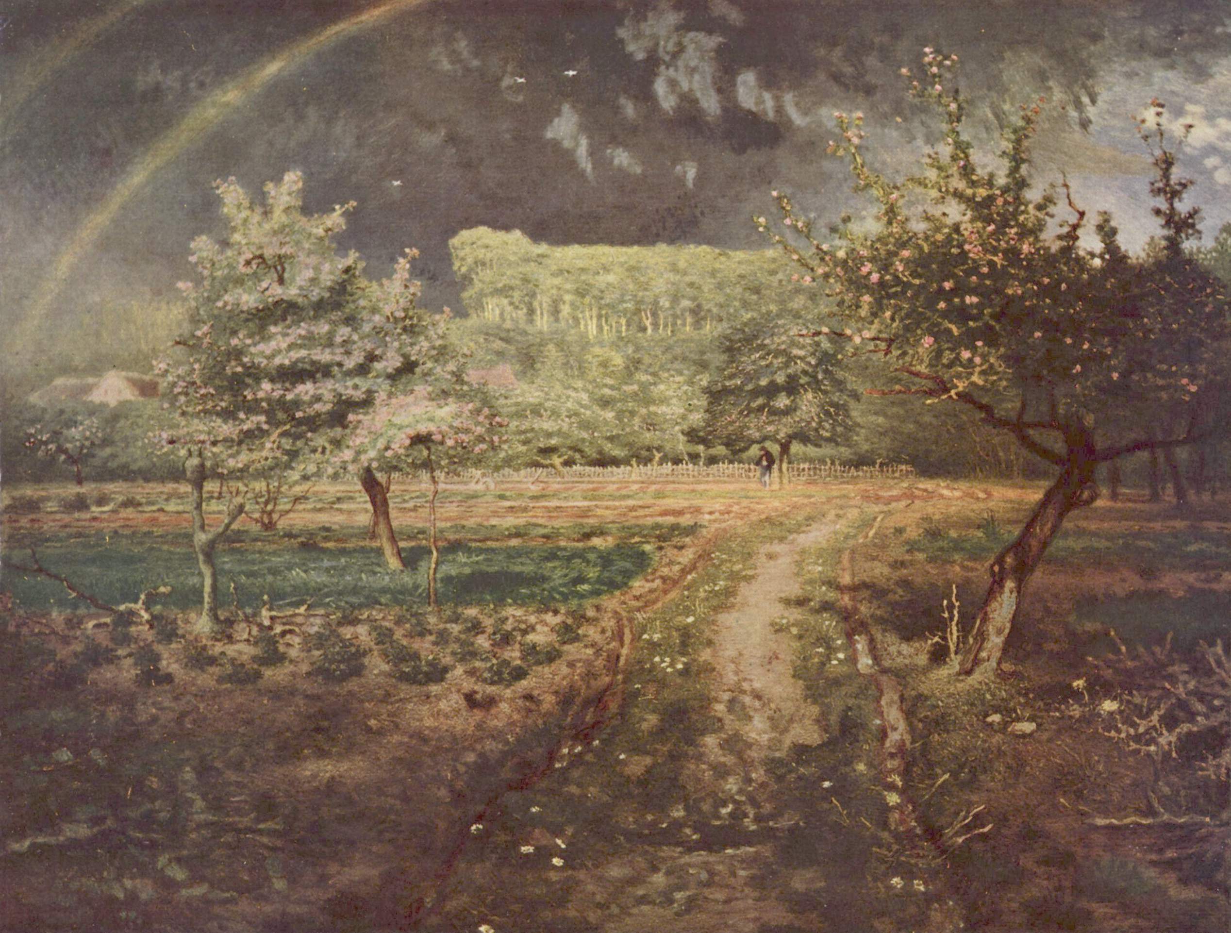 A landscape view of a garden in spring