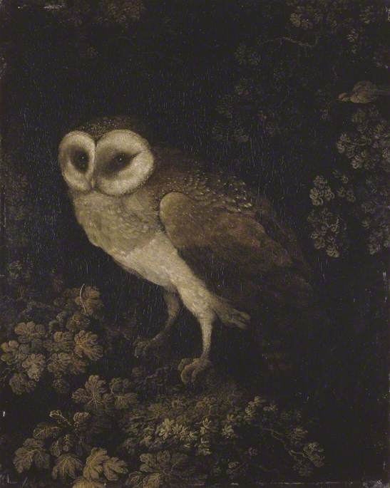 An owl perches on a bed of leaves in a gloomy landscape.