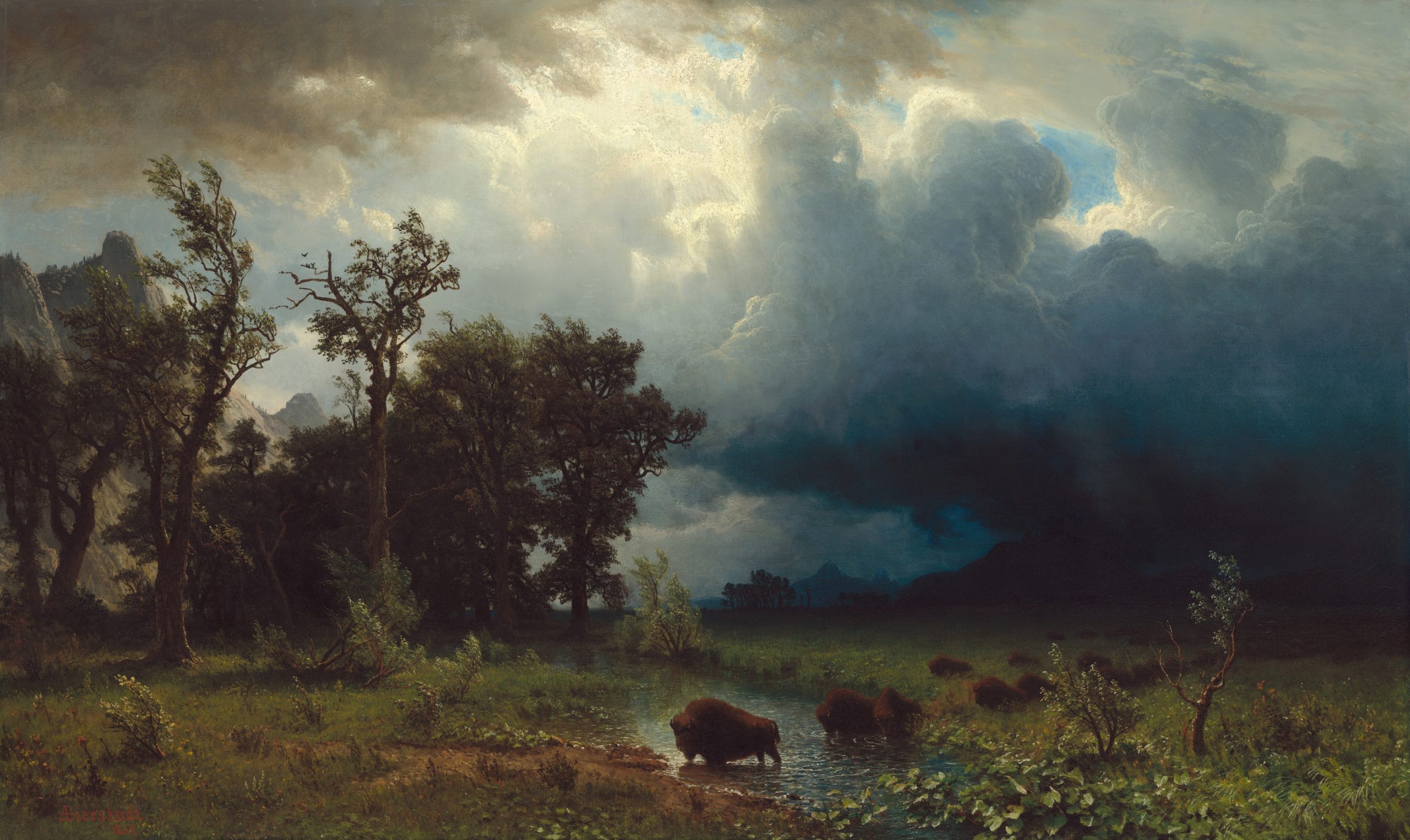 A large, dramatic sky shadows a trail of buffalo who walk across a stream water.
