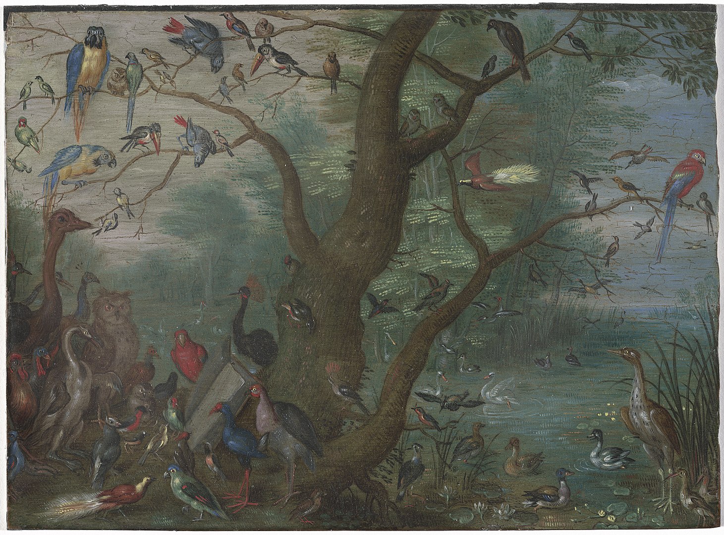 A scene depicts a large variety of birds perched on a tree in and in a swampy body of water.