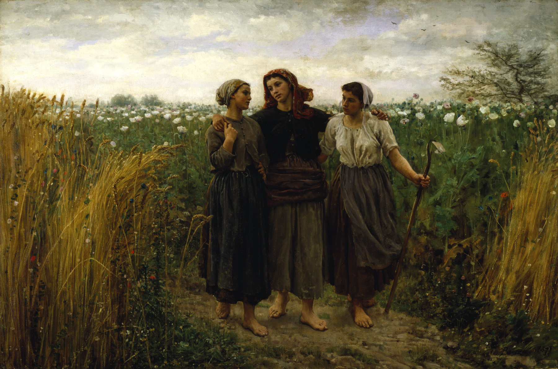 Three women walk together down a field of grass and wheat under a cloudy sky.