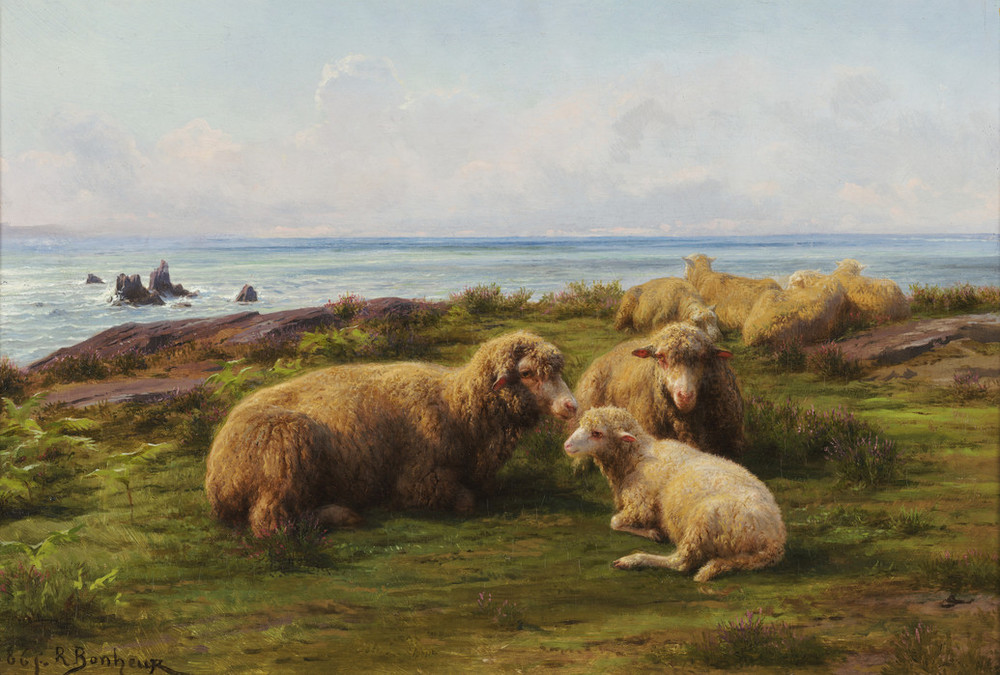 Three sheep are huddled together near the seaside on a grassy cliff.