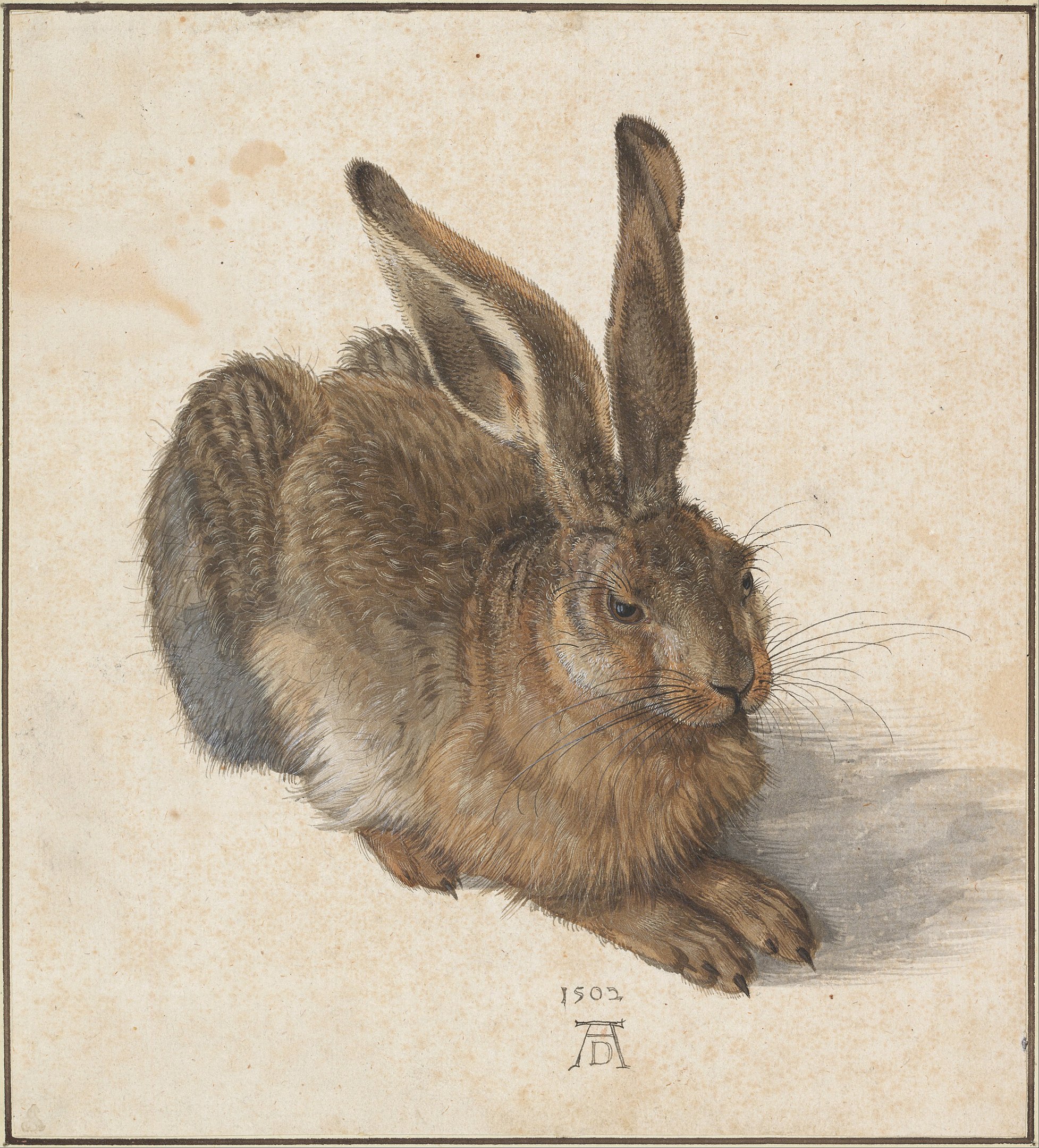 A realistic painting of the image of a hare sitting peacefully.