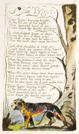 An illustrated poem with the image of a tiger and a tree at the bottom of the written text.