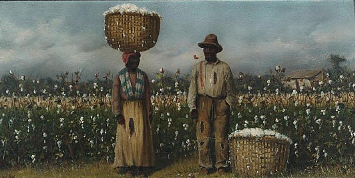Two people stand in a field of cotton while a woman carries a basket of cotton on her head.