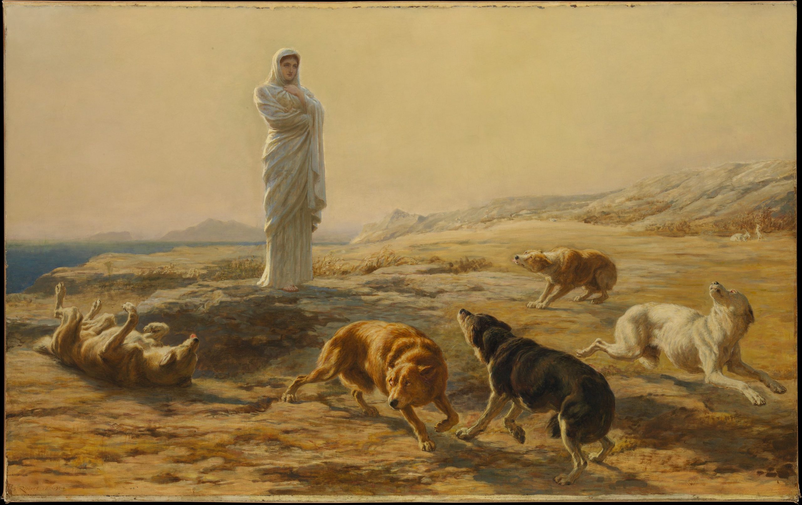A woman in a desert standing before a group of five dogs seemingly fearful of her presence