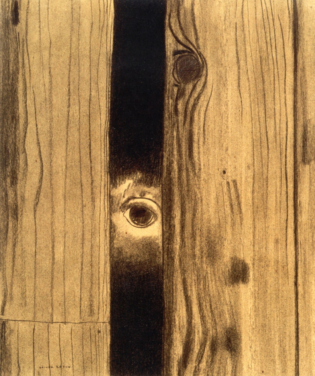 An eye peeking through the crevice between two wooden panels