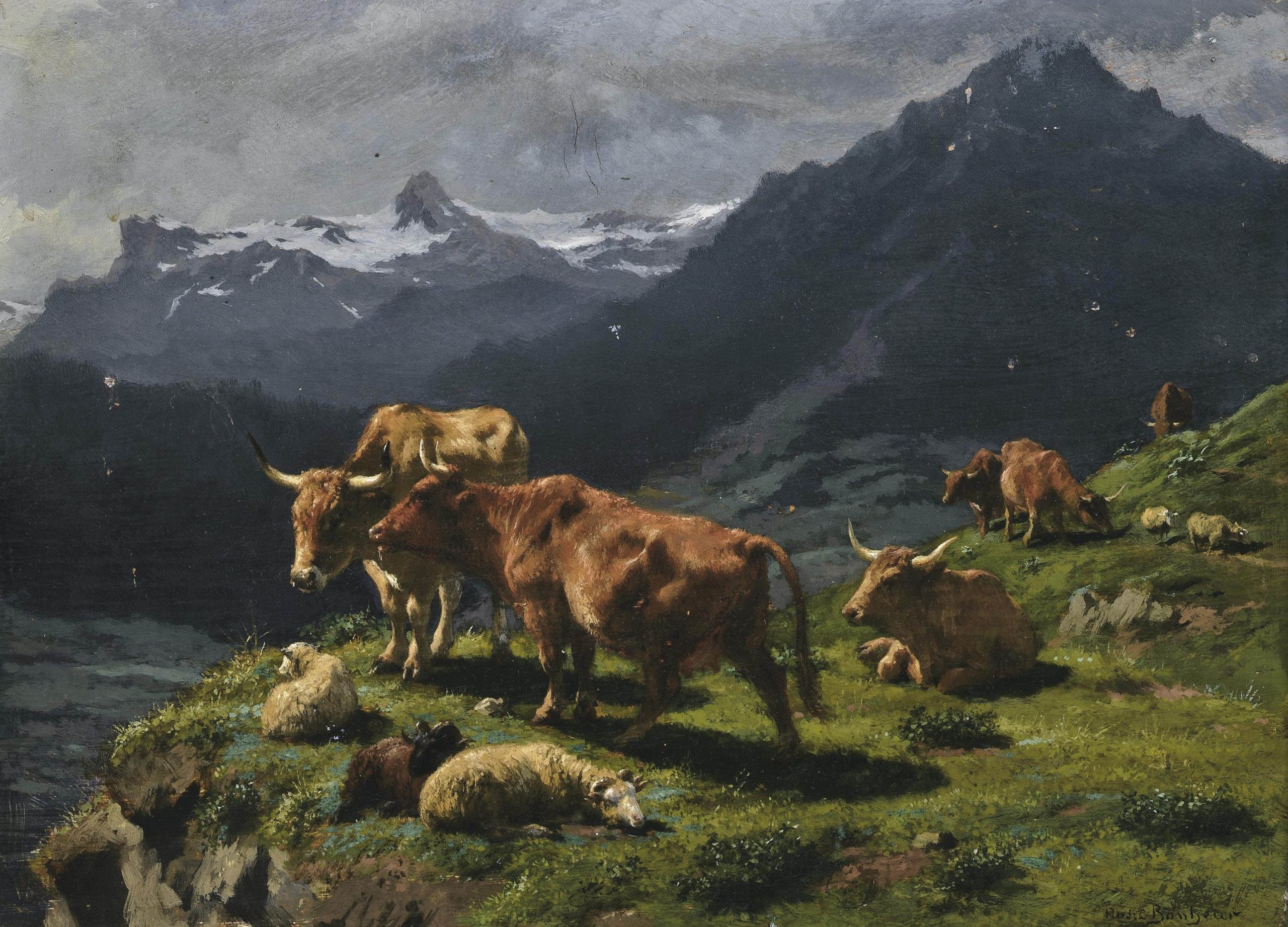 Cattle and sheep on a grassy cliff with mountains in the background
