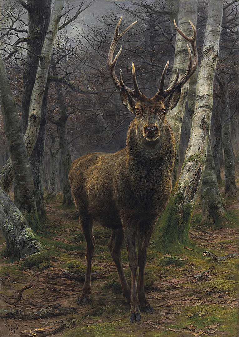 A portrait illustrates an adult deer beneath bare trees in the forest.