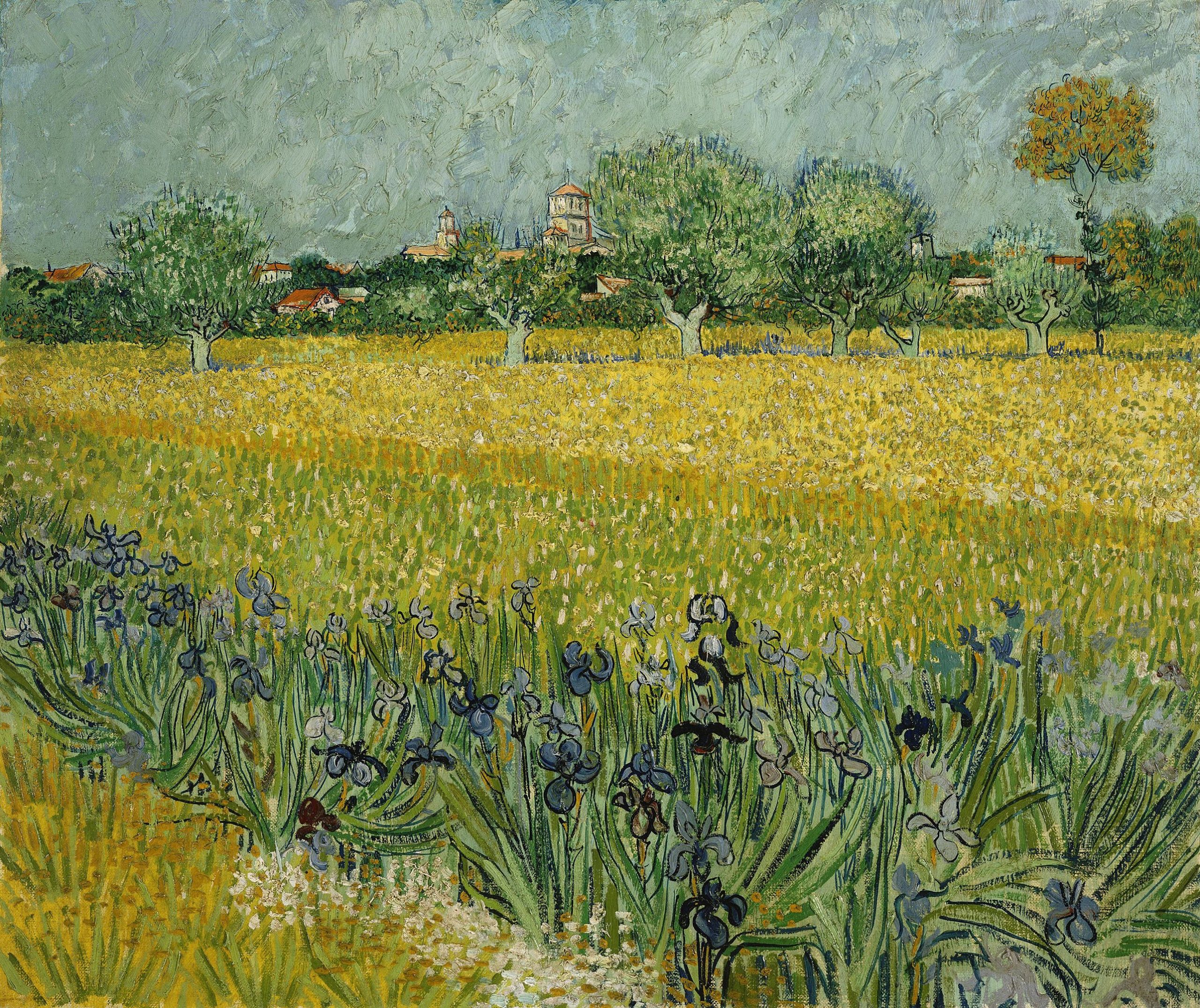 A landscape view of a meadow