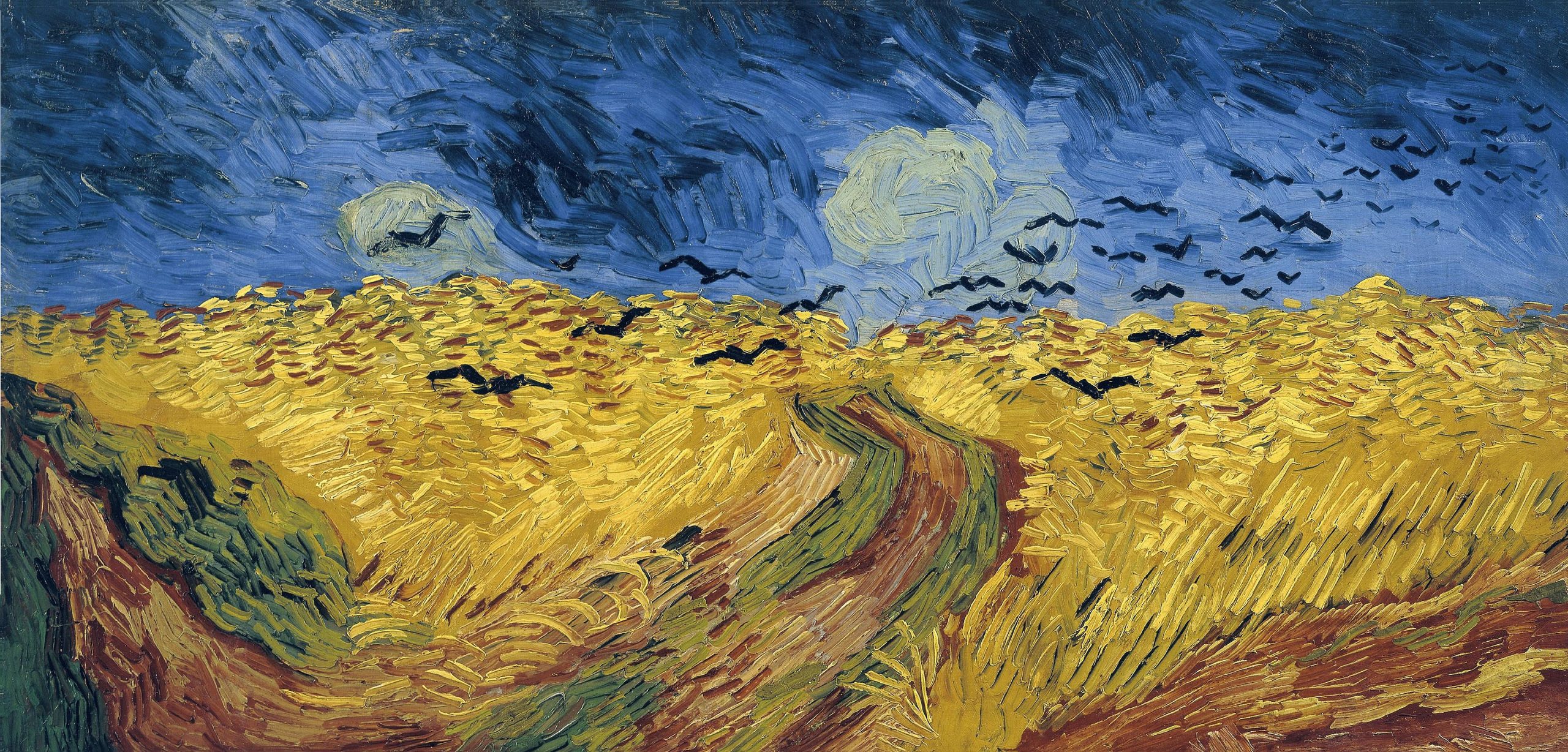 A landscape view of a wheatfield at night through which a flock of crows fly