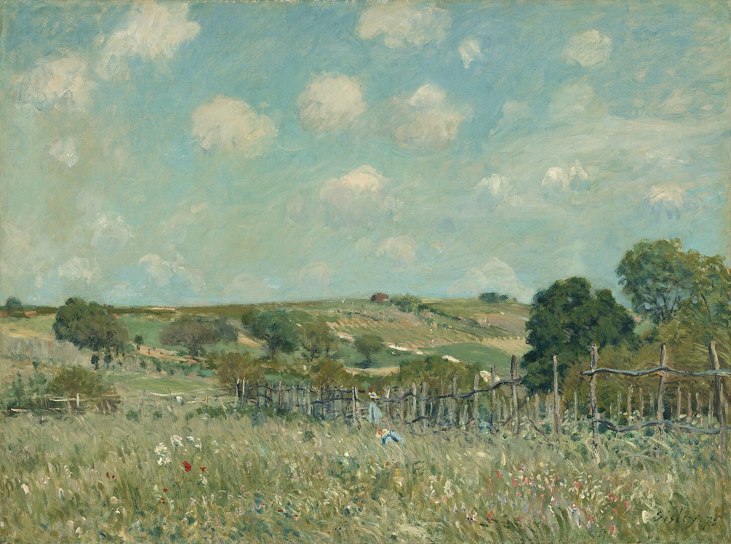 A landscape view of a meadow