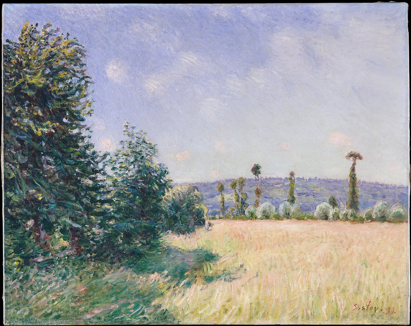A landscape view of a meadow