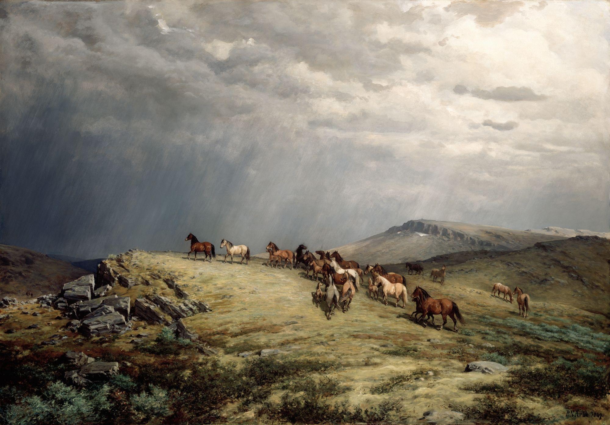 A field of horses travel across a dark field lit up by the sun leaking through clouds.