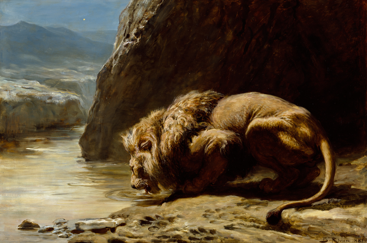 A portrait of a lion who drinks from a body of water on next to the bottom of the edge of a cliff.