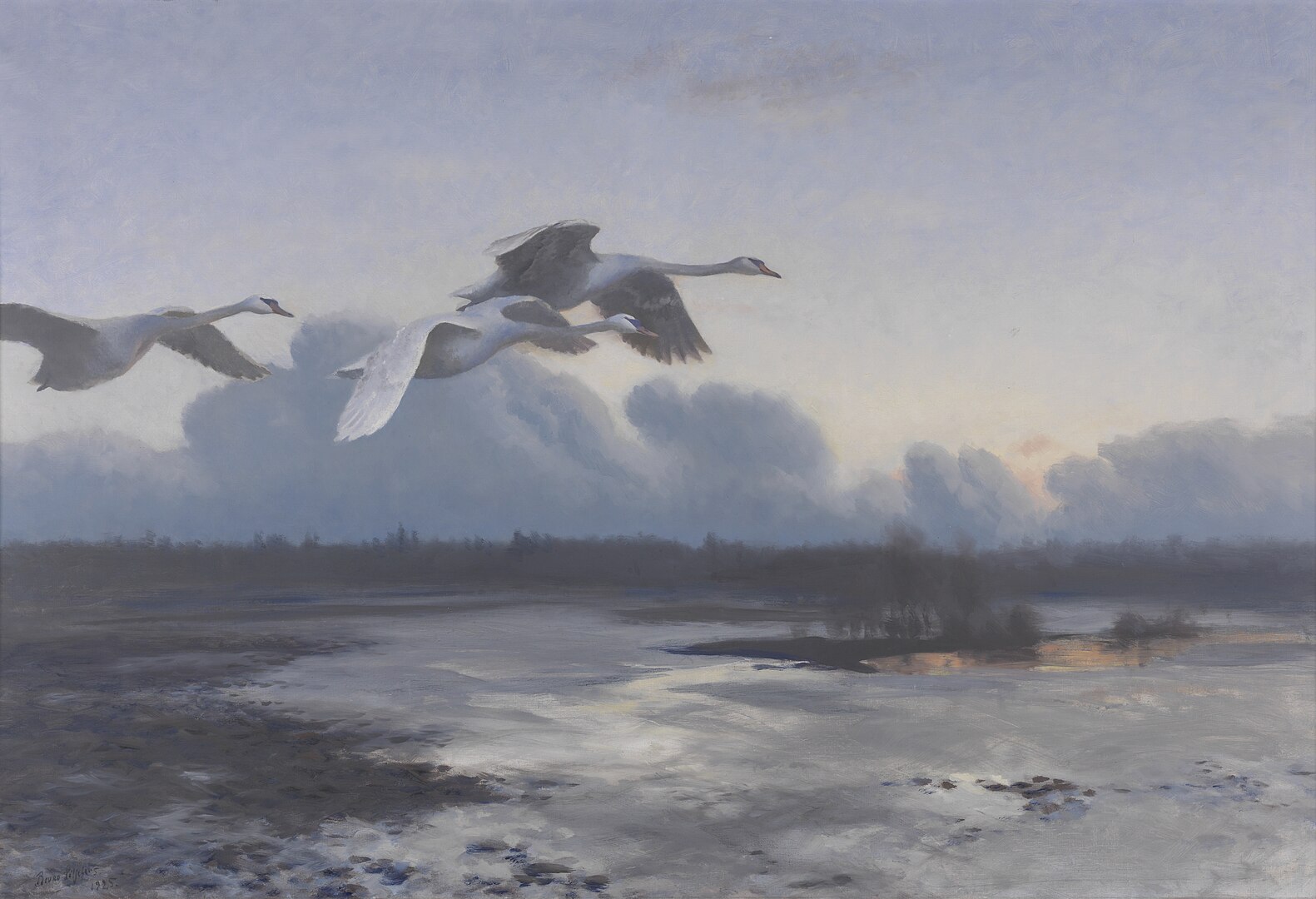 Three swans flying together above a lake
