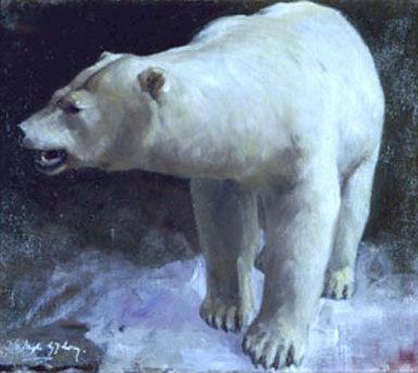 An image depicts the portrait of a polar bear standing in the dark on snowy ground.